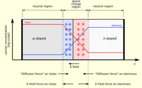 p-n 접합에서의 농도/전기장 분포